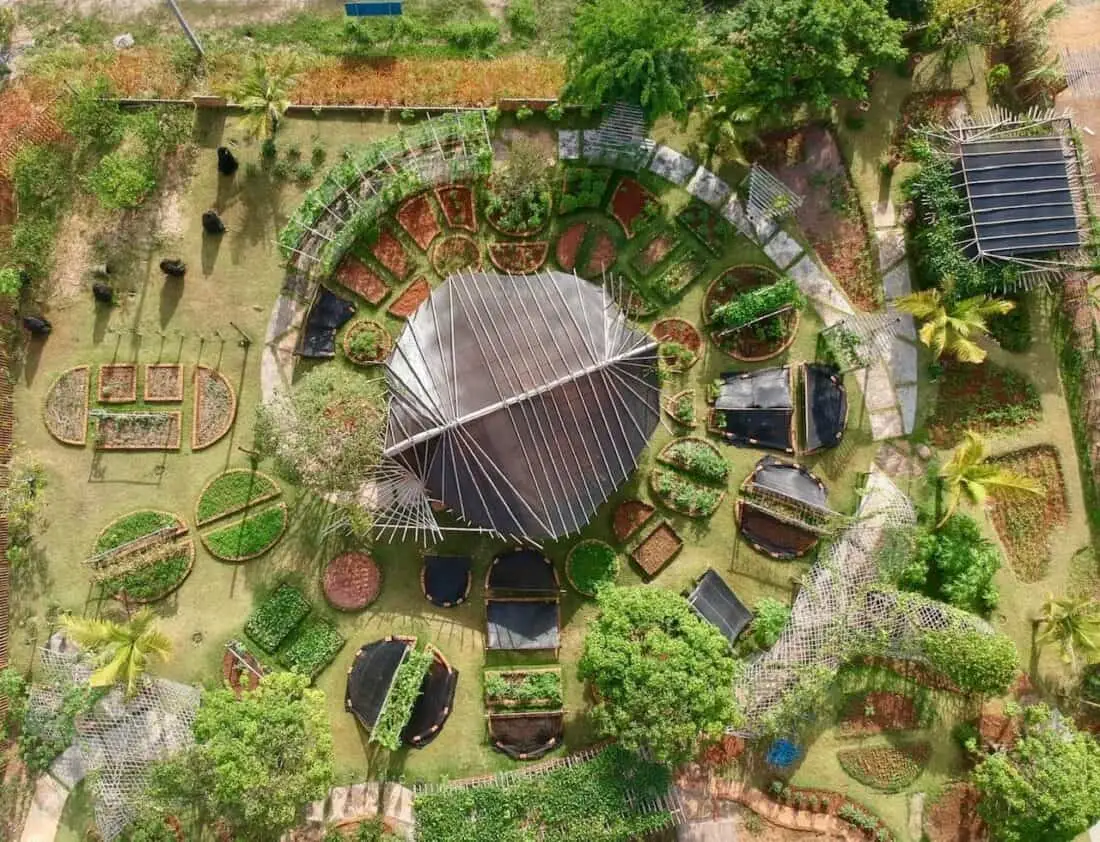 organicfarmfromabovekrabi