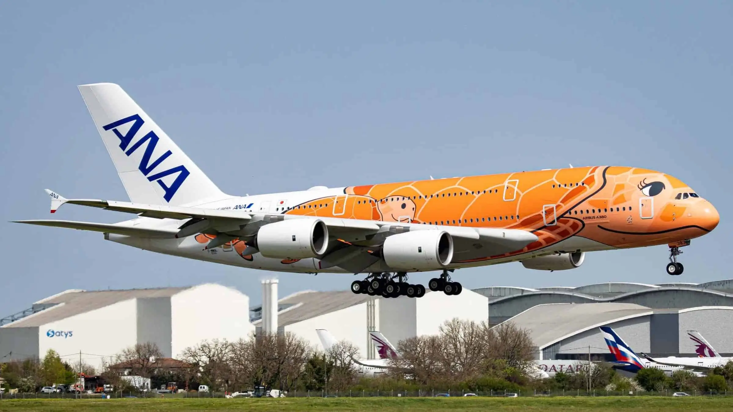 ANA A380 Flying Honu