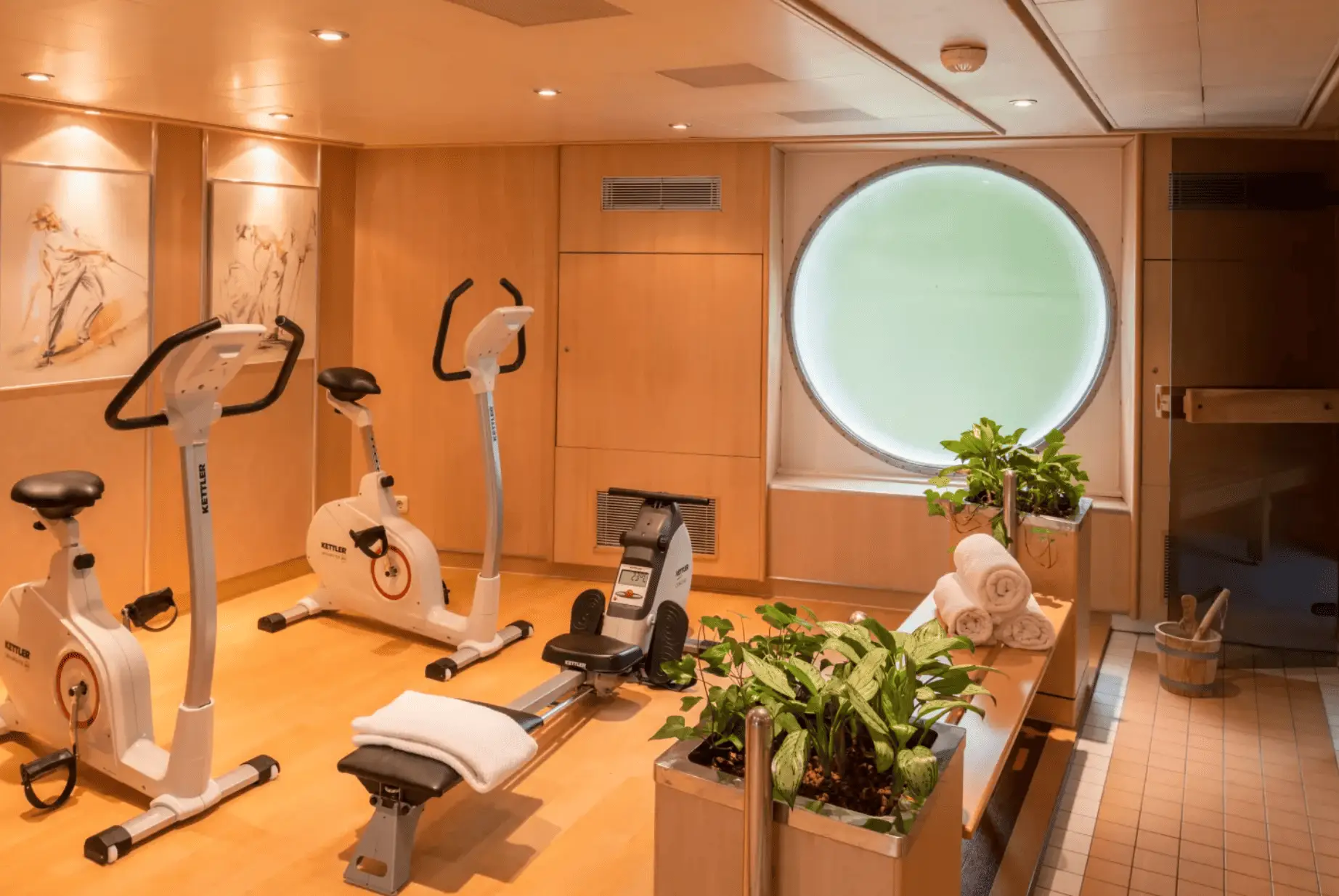 wellness msmaxima