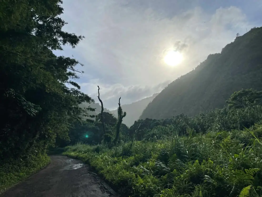 Hawaii Maui Regendwaldlanschaft