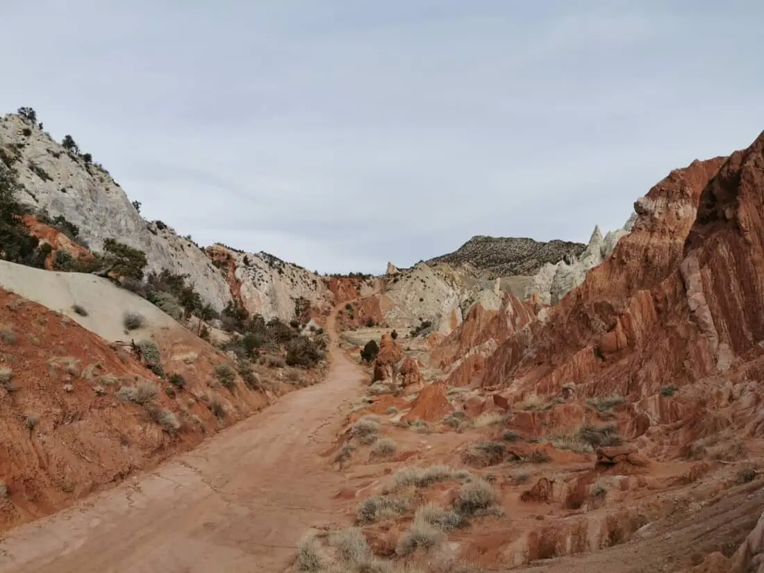 Cottonwood Canyon Road Utah