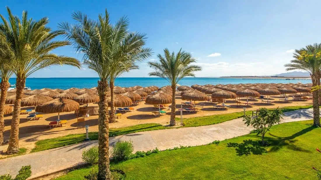 sentido strand2