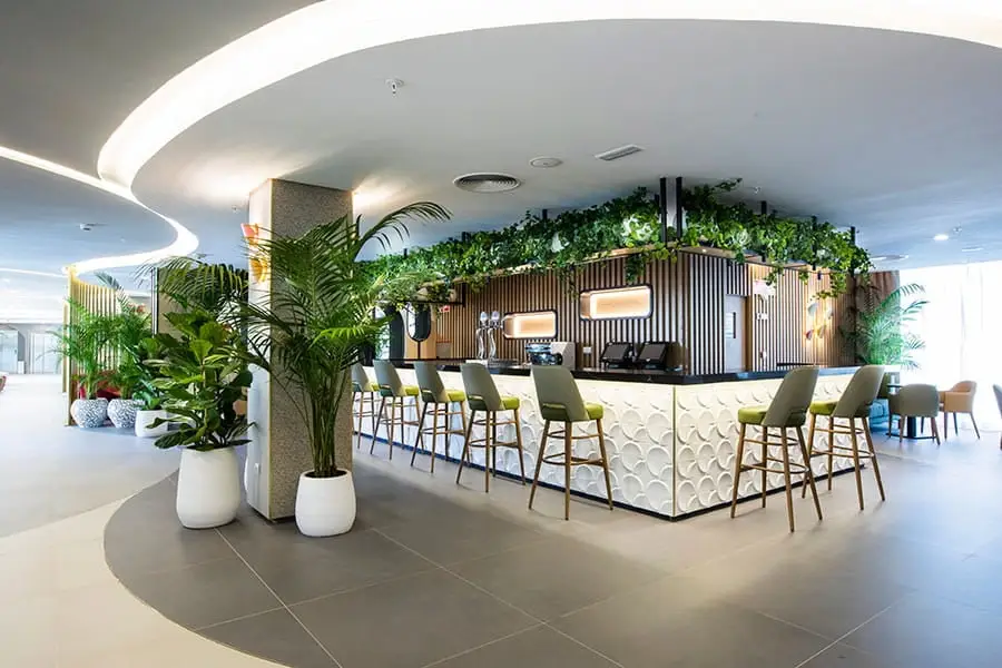 lobby bar riu concordia