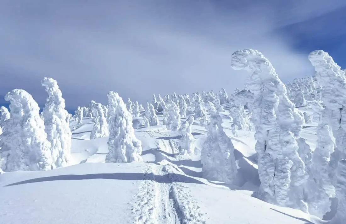 Hakkoda Schneemonster Header