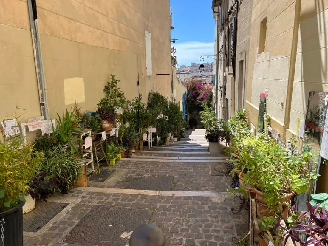 Marseille Altstadt Blumen